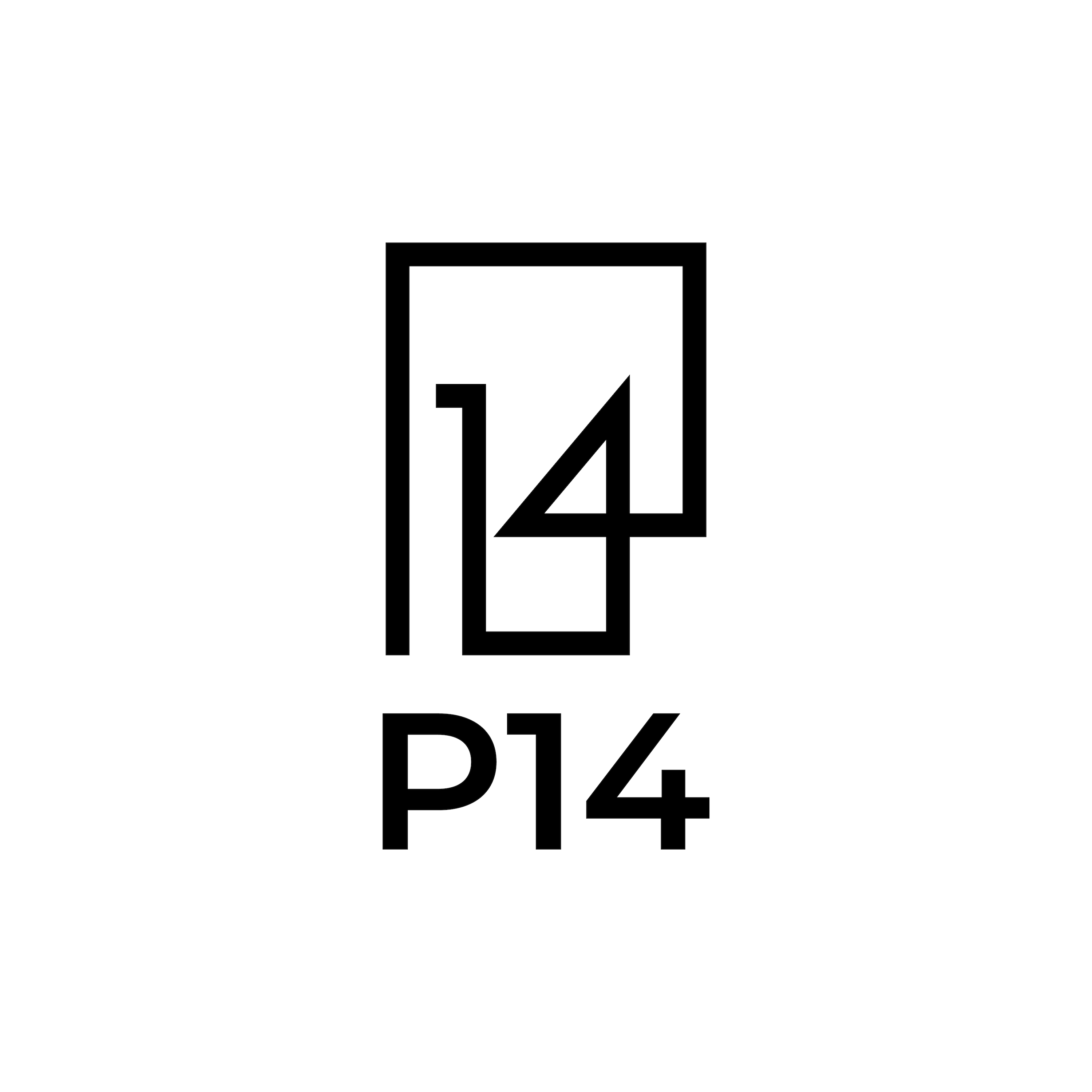 P14 Inc